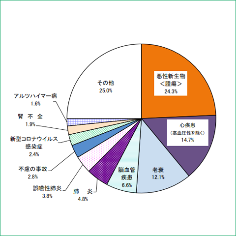 主な死因の構成割合, 厚生労働省資料